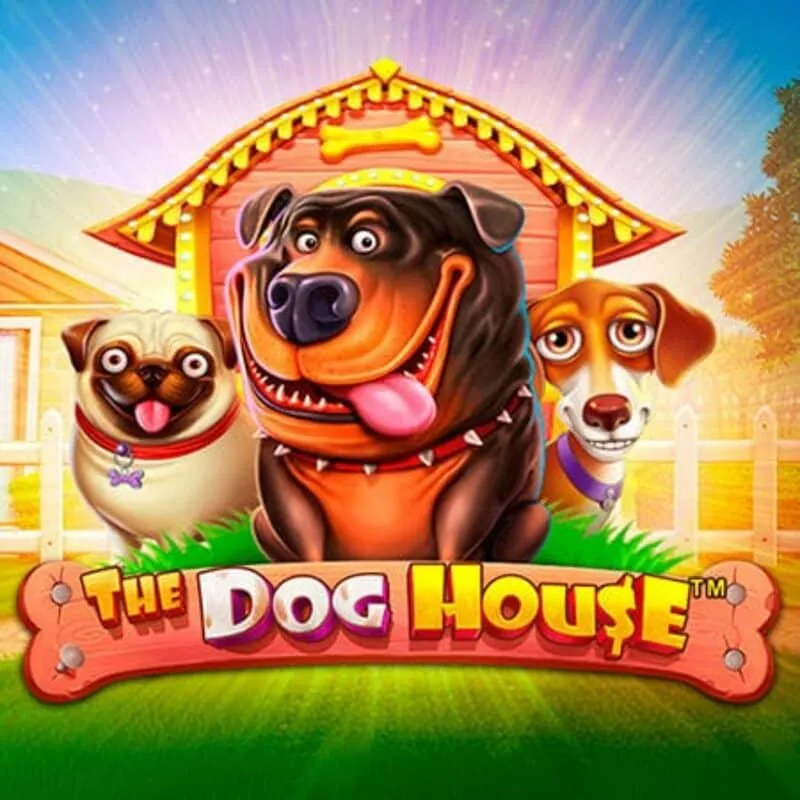 The Dog House at 247bet Casino